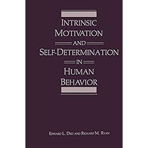 Buy Intrinsic Motivation and Self-Determination in Human Behavior